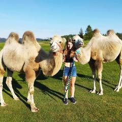 Cameltreking - procházka s velbloudem a krmením v Krkonoších