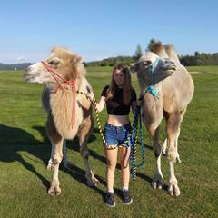 Cameltreking - procházka s velbloudem a krmením v Krkonoších